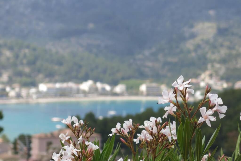Apartamento En El Puerto De Soller Con Gran Terraza Privada Y Vistas Al Mar. Piscina Comunitaria. Localizado En Un Zona Tranquila Y Muy Soleada. Wifi Gratis Disponible. Parking. Экстерьер фото